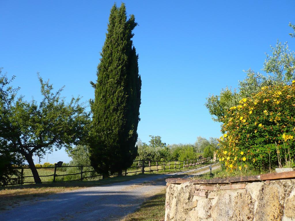 Podere Sionne Чиуси Екстериор снимка